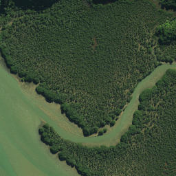 Satellite imagery of RCM V SO 50173, NZ