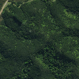 Satellite imagery of RCM V SO 50173, NZ