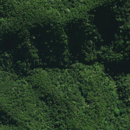Satellite imagery of 24 TE RANGA, NZ