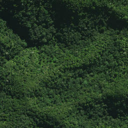 Satellite imagery of 24 TE RANGA, NZ