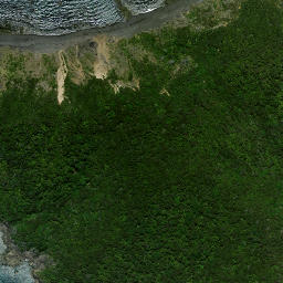 Satellite imagery of Karakahuarua Point, NZ