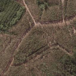 Satellite imagery of Loma del Sauce, CL