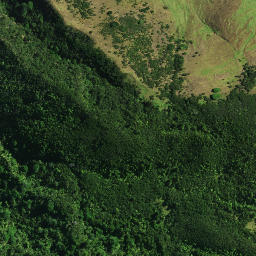 Satellite imagery of D OPANGO, NZ
