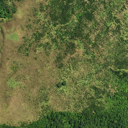 Satellite imagery of D OPANGO, NZ