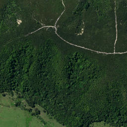 Satellite imagery of Paremata or Nene's Pa, NZ