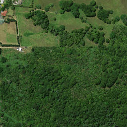 Satellite imagery of Tapahuarau Pa, NZ