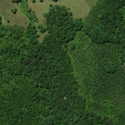 Satellite imagery of Tapahuarau Pa, NZ
