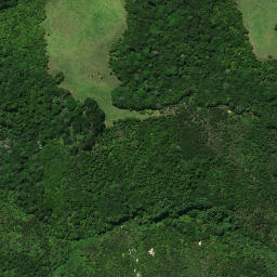 Satellite imagery of Takaporuruku Pa, NZ