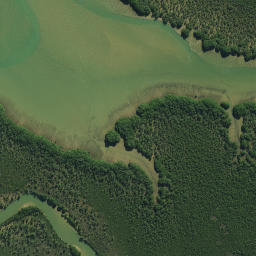 Satellite imagery of RCM V SO 50173, NZ