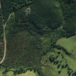 Satellite imagery of RCM V SO 50173, NZ