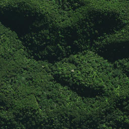 Satellite imagery of 24 TE RANGA, NZ