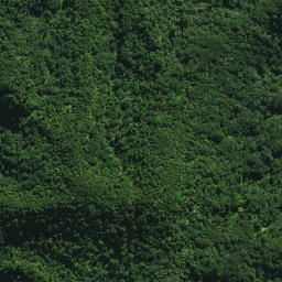 Satellite imagery of 24 TE RANGA, NZ