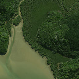 Satellite imagery of Tamateatai Point, NZ