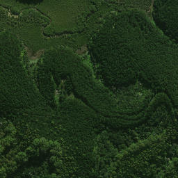 Satellite imagery of Whakaruru Pa, NZ