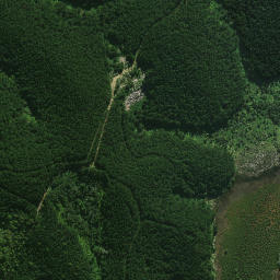 Satellite imagery of Whakaruru Pa, NZ