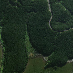 Satellite imagery of Whakaruru Pa, NZ