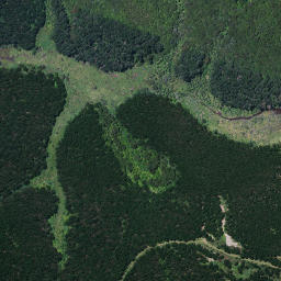 Satellite imagery of Whakaturia Pa, NZ