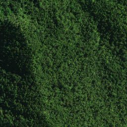 Satellite imagery of D OPANGO, NZ
