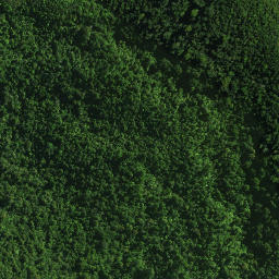 Satellite imagery of D OPANGO, NZ