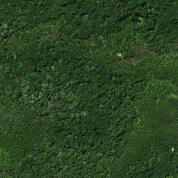Satellite imagery of Tapahuarau Pa, NZ
