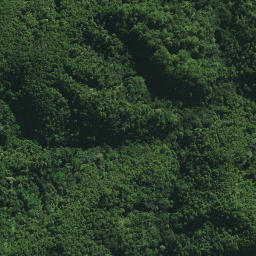 Satellite imagery of H1 KAWAKAWA, NZ