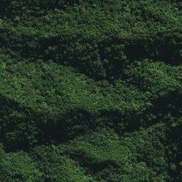 Satellite imagery of 24 TE RANGA, NZ