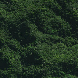 Satellite imagery of 24 TE RANGA, NZ