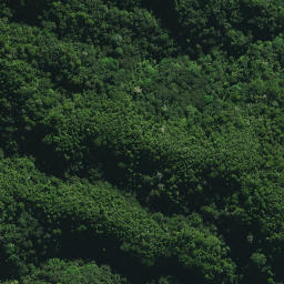 Satellite imagery of 24 TE RANGA, NZ