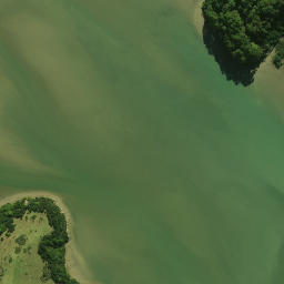 Satellite imagery of Tamateatai Point, NZ