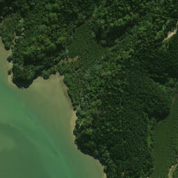 Satellite imagery of Whakaruru Pa, NZ