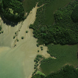 Satellite imagery of Whakaruru Pa, NZ