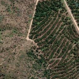 Satellite imagery of Sugarloaf, AU