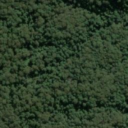 Satellite imagery of Mount Kingiman, AU