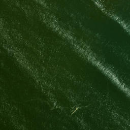 Satellite imagery of Te Umakuri Point, NZ