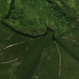 Satellite imagery of 41 WHAKAKORO, NZ