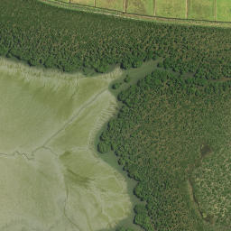 Satellite imagery of Makauekaue Pa or Whakaue Pa, NZ