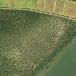 Satellite imagery of Makauekaue Pa or Whakaue Pa, NZ