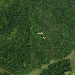 Satellite imagery of Takaporuruku Pa, NZ