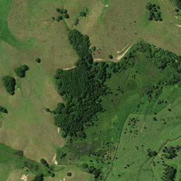 Satellite imagery of 1521, NZ