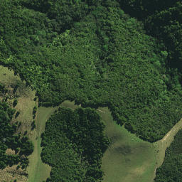 Satellite imagery of H1 KAWAKAWA, NZ
