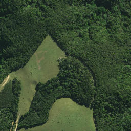 Satellite imagery of Paringaringa Pa, NZ