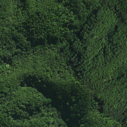 Satellite imagery of Paringaringa Pa, NZ