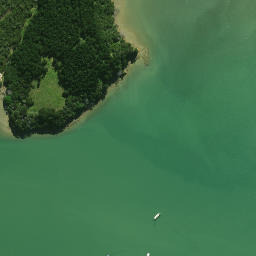 Satellite imagery of Whakaruru Pa, NZ