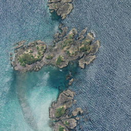 Satellite imagery of Moturoa Point, NZ