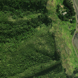 Satellite imagery of Te Aupouri Pa, NZ