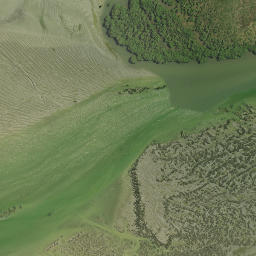 Satellite imagery of Makauekaue Pa or Whakaue Pa, NZ