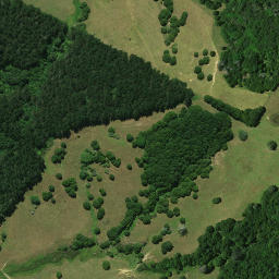 Satellite imagery of 1521, NZ