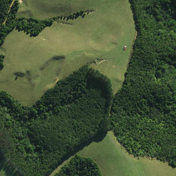 Satellite imagery of Paringaringa Pa, NZ