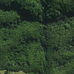 Satellite imagery of Paringaringa Pa, NZ