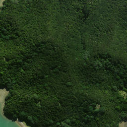 Satellite imagery of Te Waipa Point, NZ